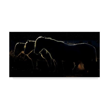 Trademark Fine Art Michel Romaggi 'Horses Silhouettes' Canvas Art, 12x24 1X04483-C1224GG